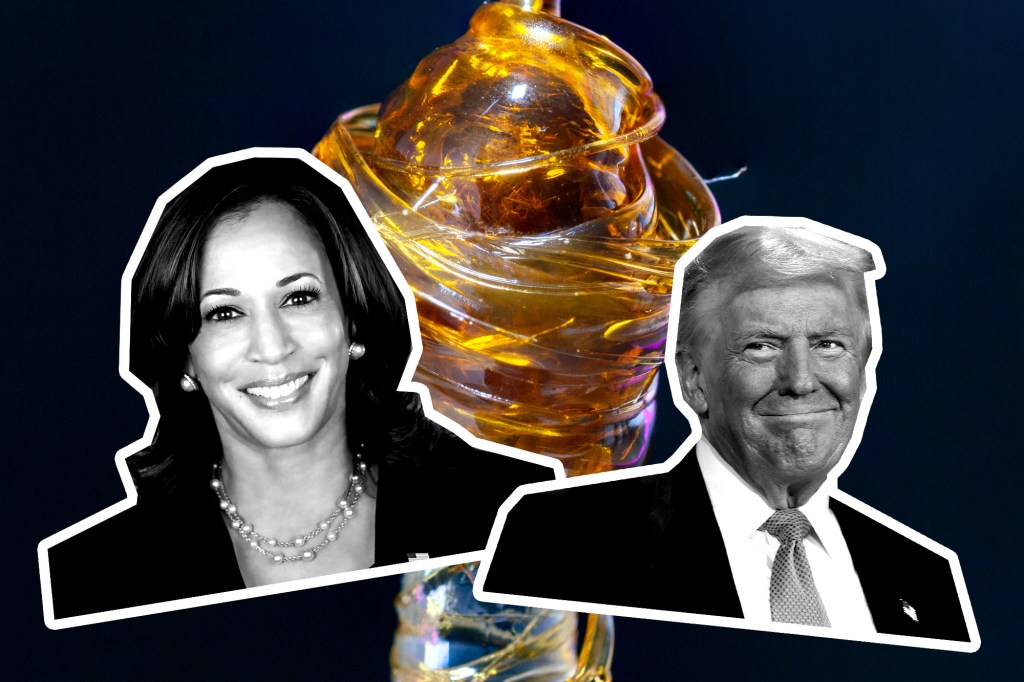 Dabs of Democracy: Trump and Kamala Face Off in Record-Breaking Hot Knife Dab-Off&nbsp;Competition