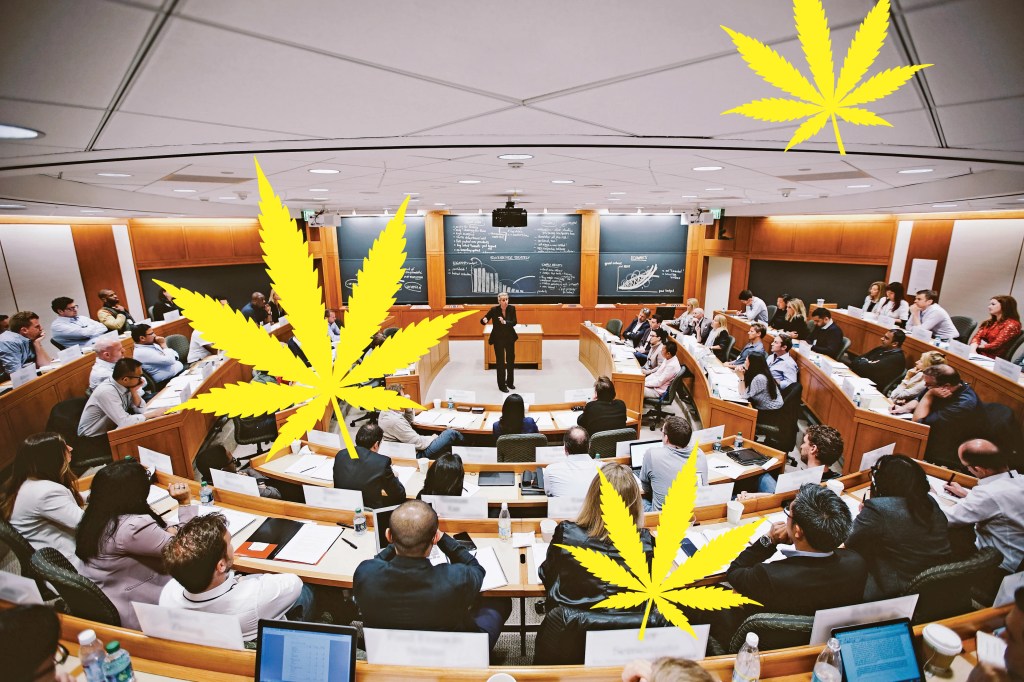Harvard’s New ‘BOGOonomics’ Course Dissects Cannabis Industry’s Price-Driven&nbsp;Pitfalls